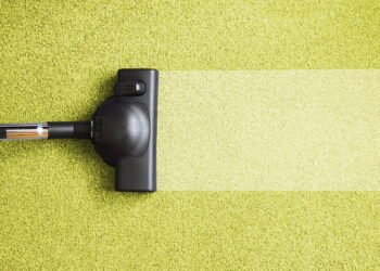 Pet-Friendly Carpet Cleaning Solutions for Brisbane Homeowners