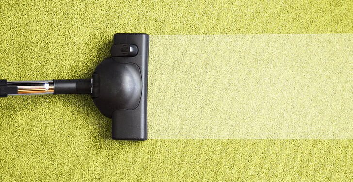 Pet-Friendly Carpet Cleaning Solutions for Brisbane Homeowners